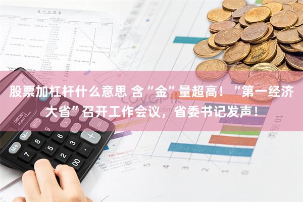 股票加杠杆什么意思 含“金”量超高！“第一经济大省”召开工作会议，省委书记发声！