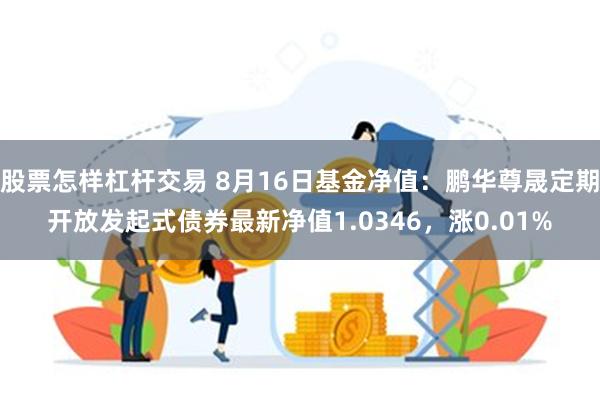 股票怎样杠杆交易 8月16日基金净值：鹏华尊晟定期开放发起式债券最新净值1.0346，涨0.01%