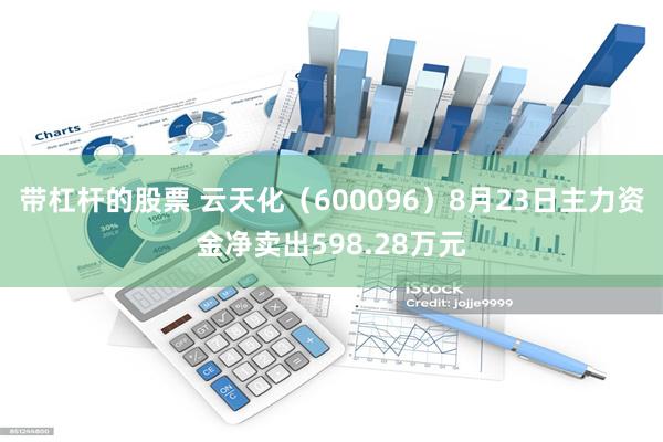 带杠杆的股票 云天化（600096）8月23日主力资金净卖出598.28万元