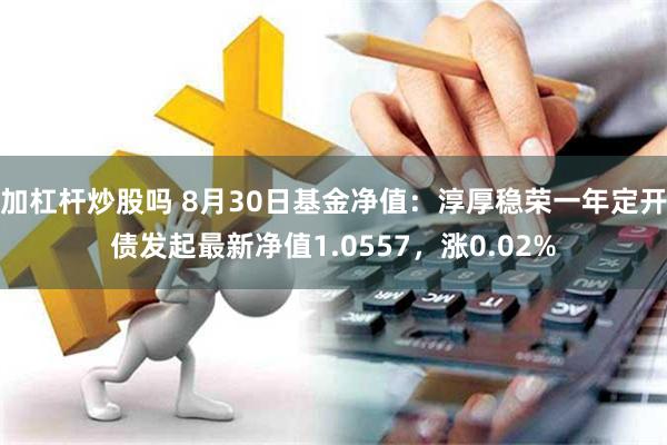 加杠杆炒股吗 8月30日基金净值：淳厚稳荣一年定开债发起最新净值1.0557，涨0.02%