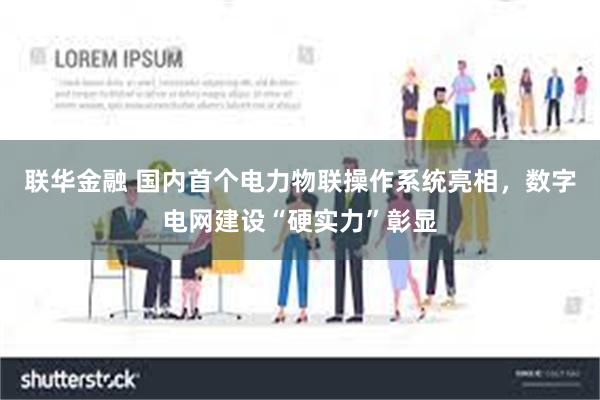 联华金融 国内首个电力物联操作系统亮相，数字电网建设“硬实力”彰显