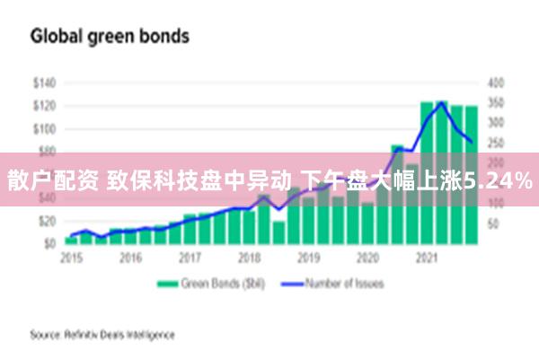 散户配资 致保科技盘中异动 下午盘大幅上涨5.24%