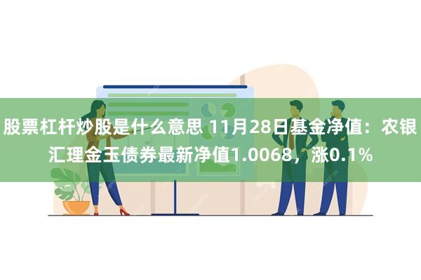 股票杠杆炒股是什么意思 11月28日基金净值：农银汇理金玉债券最新净值1.0068，涨0.1%