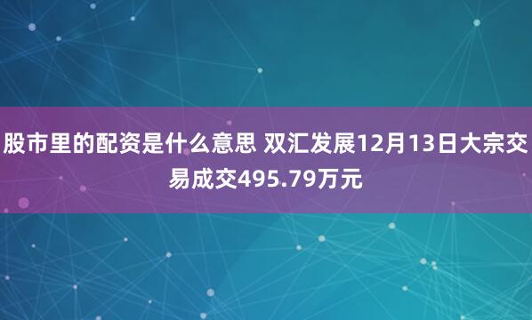 股市里的配资是什么意思 双汇发展12月13日大宗交易成交495.79万元