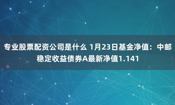 专业股票配资公司是什么 1月23日基金净值：中邮稳定收益债券A最新净值1.141